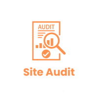 Site Audit